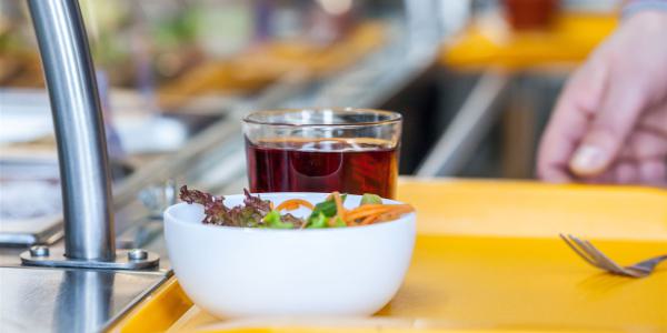 Kostenloses Stock Foto zu appetitlich, blatt, durchsichtig